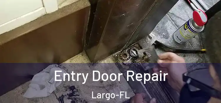  Entry Door Repair Largo-FL