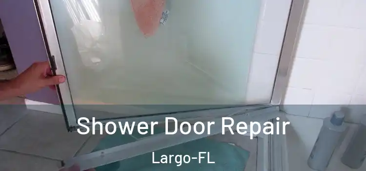 Shower Door Repair Largo-FL