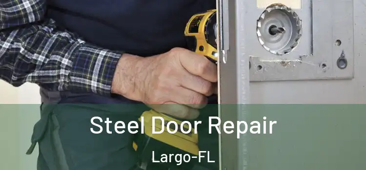 Steel Door Repair Largo-FL